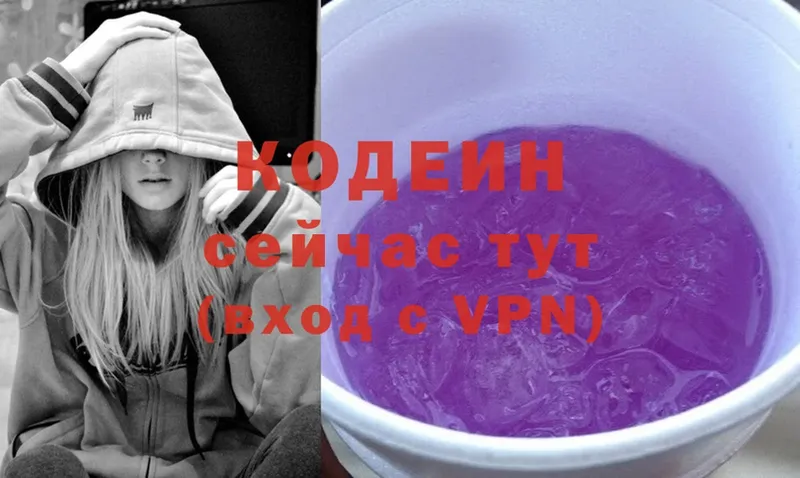 Кодеиновый сироп Lean Purple Drank  Вяземский 