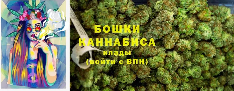 что такое наркотик  Вяземский  Бошки Шишки SATIVA & INDICA 